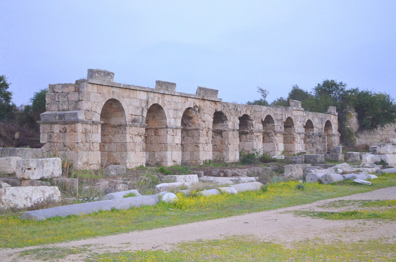 В краю древних Финикийцев